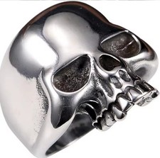 Stainless steel skull for sale  HERNE BAY