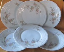 Série assiettes porcelaine d'occasion  Montmoreau-Saint-Cybard