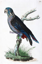 1789 shaw nodder usato  Urbino