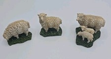 Lot sheep ewe for sale  Davidsonville