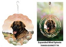 Giravento leonberger usato  Spedire a Italy