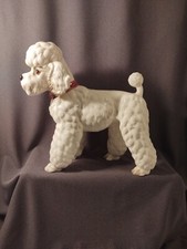 Large poodle kennel for sale  Eustis