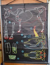 Carte école scolaire d'occasion  Sèvres