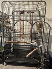 large cage parrot bird for sale large cage parrot bird for sale Wesley Chapel