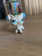Petshop chat européen d'occasion  Romilly-sur-Seine