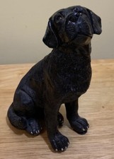 Melannco black lab for sale  Ballston Spa