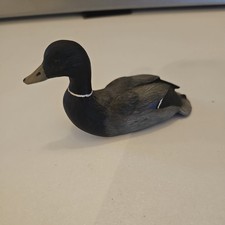 mallard drake for sale mallard drake for sale ASHTEAD