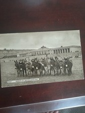 Old postcard donkeys for sale  STOKE-ON-TRENT