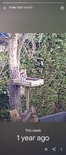 Wanted tree surgeon for sale  BEXHILL-ON-SEA