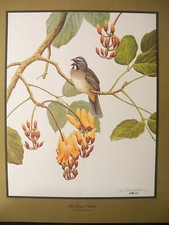eckelberry prints for sale eckelberry prints for sale Tacoma