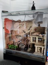 Terrarium zubehör gebraucht kaufen  Nürnberg