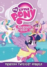 Little pony friendship gebraucht kaufen  Berlin