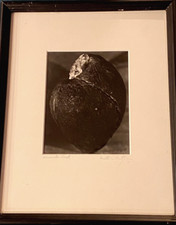 Burton pritzker print for sale  Englewood