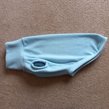 Whippet dog large for sale  SHEFFIELD