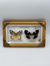 Framed real butterflies for sale  Charles Town