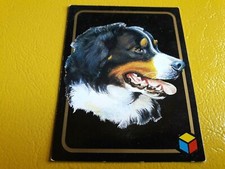 Trading card serie usato  Soliera