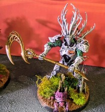 Magnetized sylvaneth kurnoth for sale  Orono