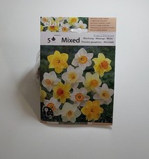 Narcisi bulbi colori usato  Rotonda