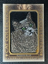 russian blue cat for sale  Brockport