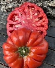 Pomodoro antico lombardia usato  Spedire a Italy