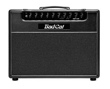Bad cat hot for sale  Winchester