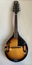Rogue fine instruments for sale  Durham