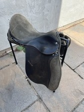 Wide working hunter for sale  HOUGHTON LE SPRING