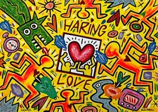 Bruno donzelli haring usato  Salerno