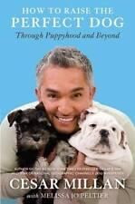 Raise perfect dog for sale  Montgomery