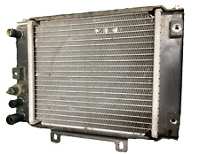 Radiatore kymco dink usato  Giugliano in Campania