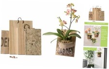 Staghorn fern mounting for sale  Miami