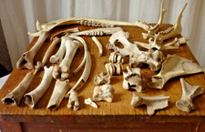 dreiring gebiss gebraucht kaufen dreiring gebiss gebraucht kaufen Hauneck