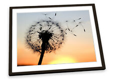 Dandelion clock sunset for sale  UK