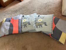 Funky fun cushions for sale  CARLISLE