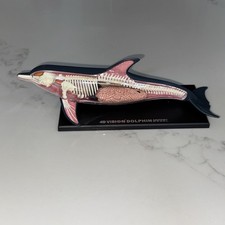 Vision dolphin anatomy for sale  Irvine