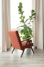Vintage armchair papaya for sale  WARRINGTON
