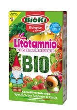Litotamnio alga calcare usato  Roma
