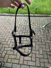 Back leather foal for sale  ST. ALBANS