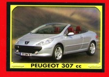 Auto planet panini usato  Fiorano Modenese