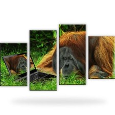 Affe notebook bild gebraucht kaufen Affe notebook bild gebraucht kaufen  Deutschland