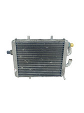 Radiatore acqua aprilia usato  Massa di Somma