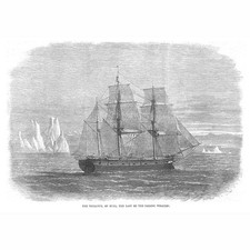 The Truelove of Hull Last of The Sailing Whaler Ships - Estampa antiga 1870 comprar usado  Enviando para Brazil