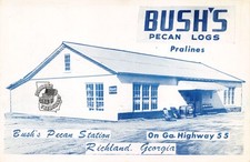 Georgia richland bush for sale  Athens