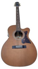 Epiphone masterbilt ef500rcce for sale  Gainesville