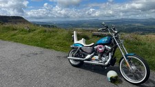Harley davidson hippie for sale  BRIDGEND