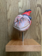 modelli anatomico usato modelli anatomico usato  Livorno