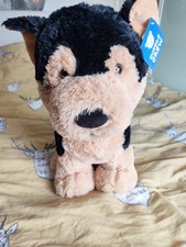 Meet frank large for sale  SKIPTON