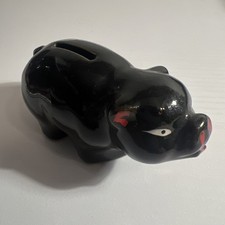 mini pig for sale  Madras