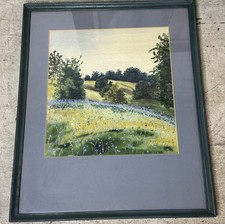 Beautiful original watercolor for sale  Newton Falls
