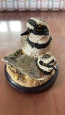 Petit gravelot country d'occasion  Allonnes